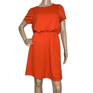 Ann Taylor Petites orange dress NWT Medium